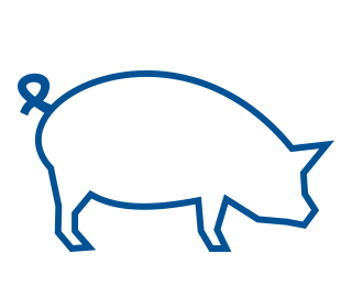 Icône représentant le profil d'un porc