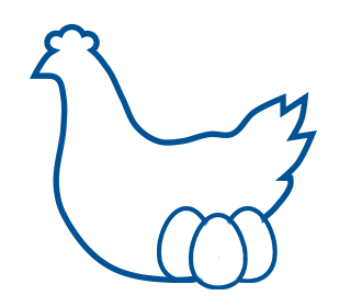 Icône représentant le profil d'une poule et ses oeufs